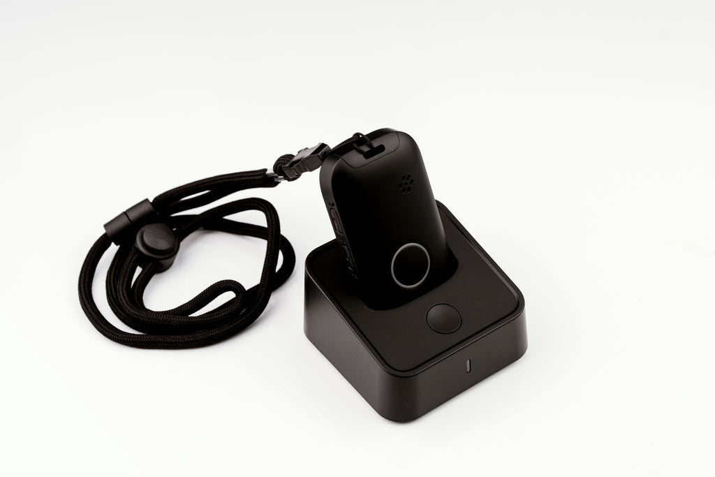 Tiny Dancer - Black with Cradle