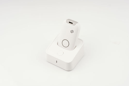 Tiny Dancer - White with Cradle